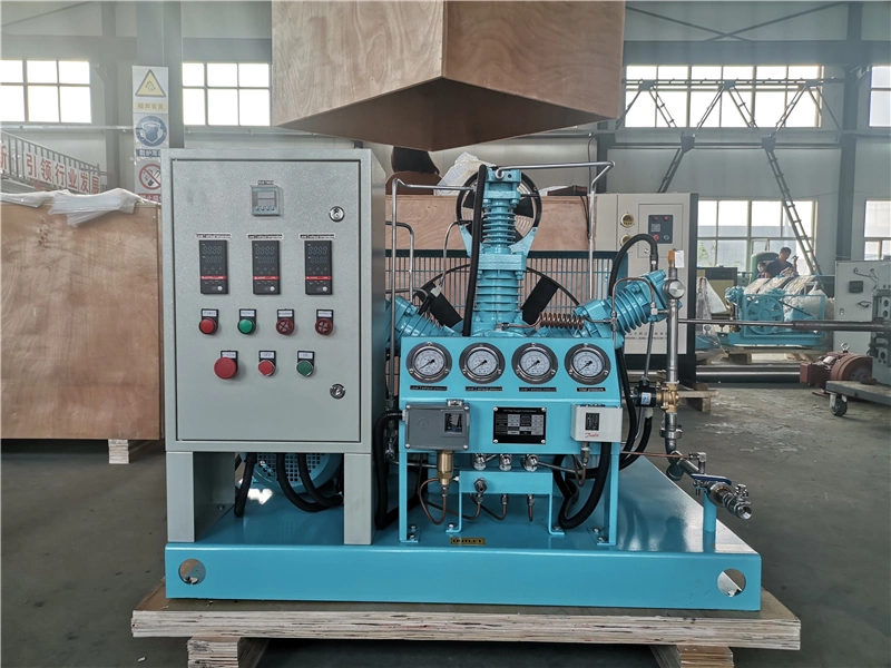 Oil Free High Pressure    Oxygen Booster Pump